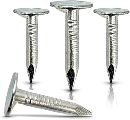 NailsRUs Galvanized Roofing Nails